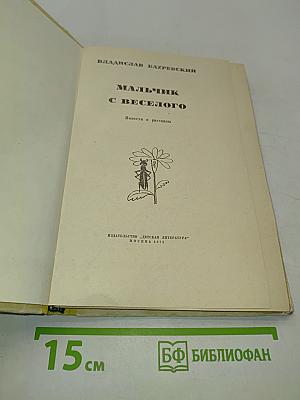 Мальчик с весёлого