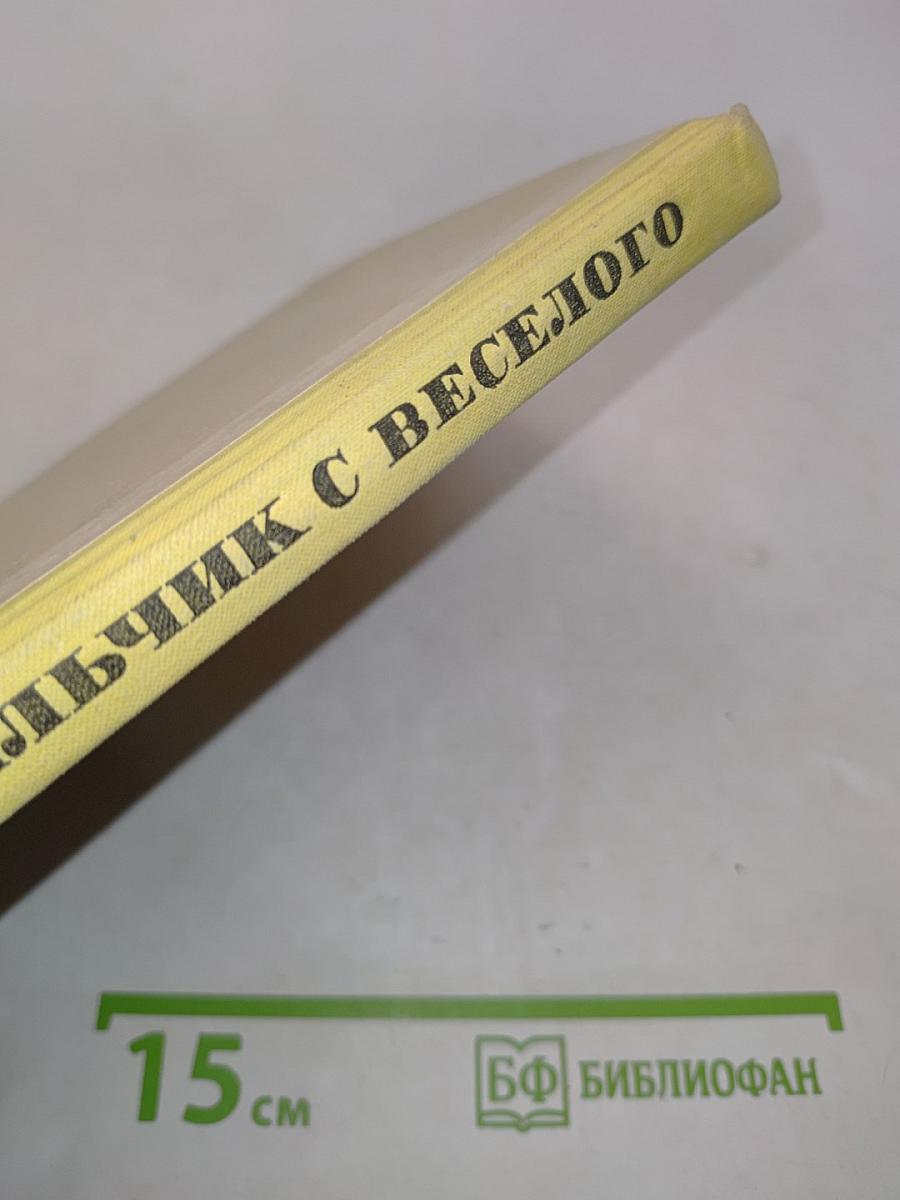 Мальчик с весёлого