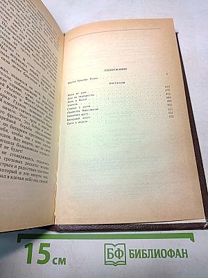Собрание сочинений. Том четвертый. Братья Ершовы. Роман. Рассказы
