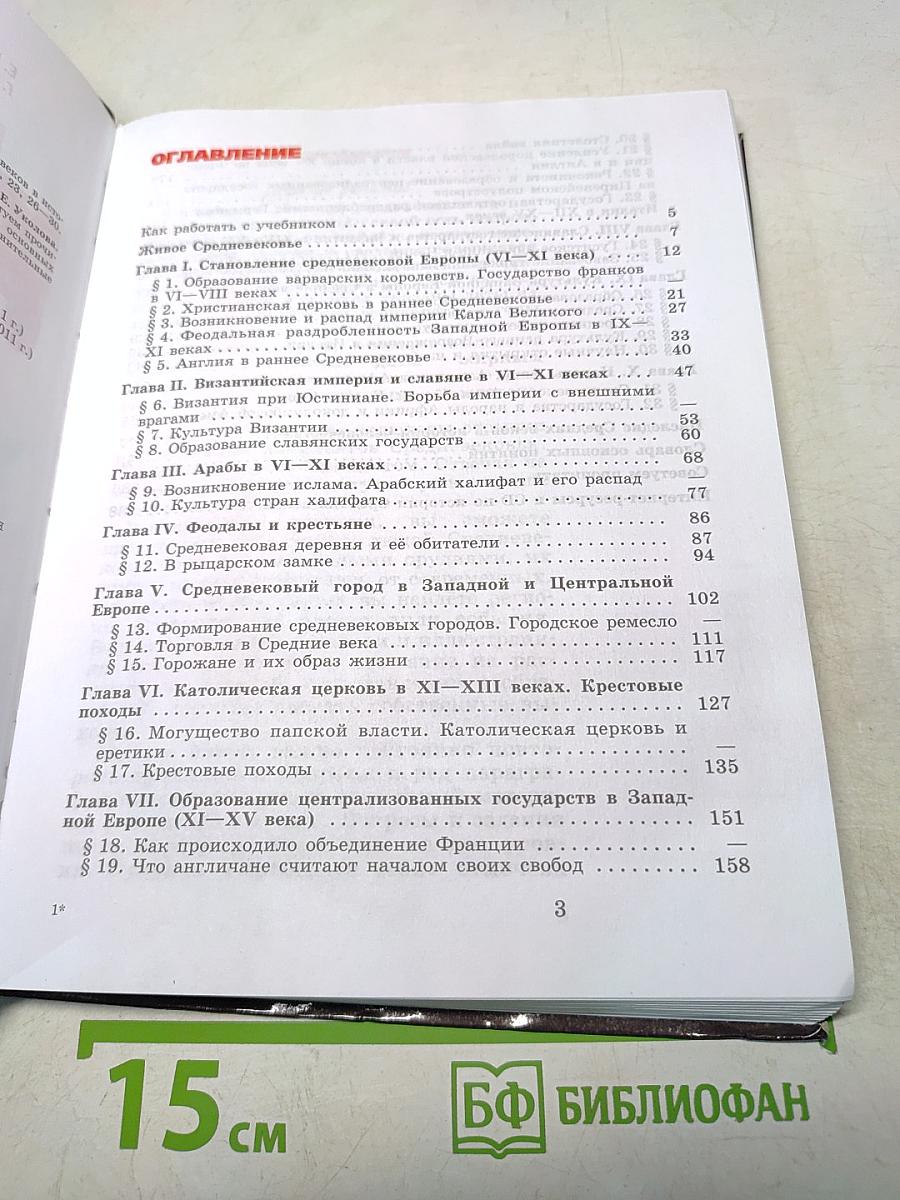 Всеобщая история. История Средних веков. 6 класс. Учебник для общеобразовательных учреждений