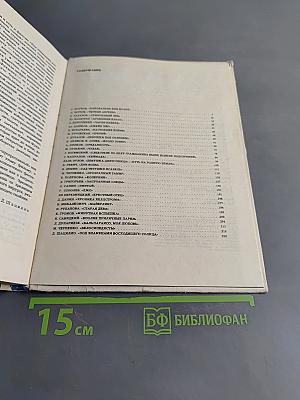 На экранах мира (Вып. 5)