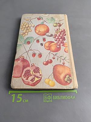 Питание детей раннего и дошкольного возраста