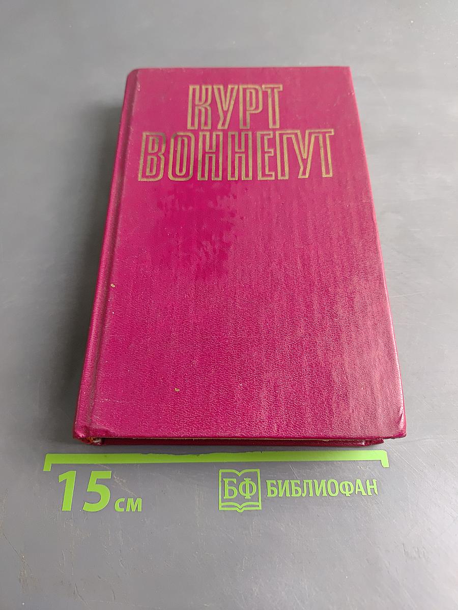 Рецидивист