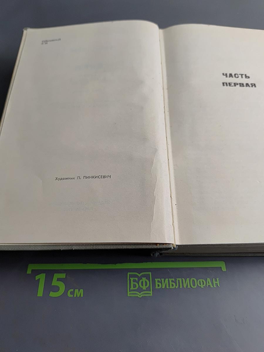 Буря. Роман в трех частях. Том первый