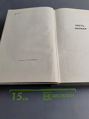 Буря. Роман в трех частях. Том первый