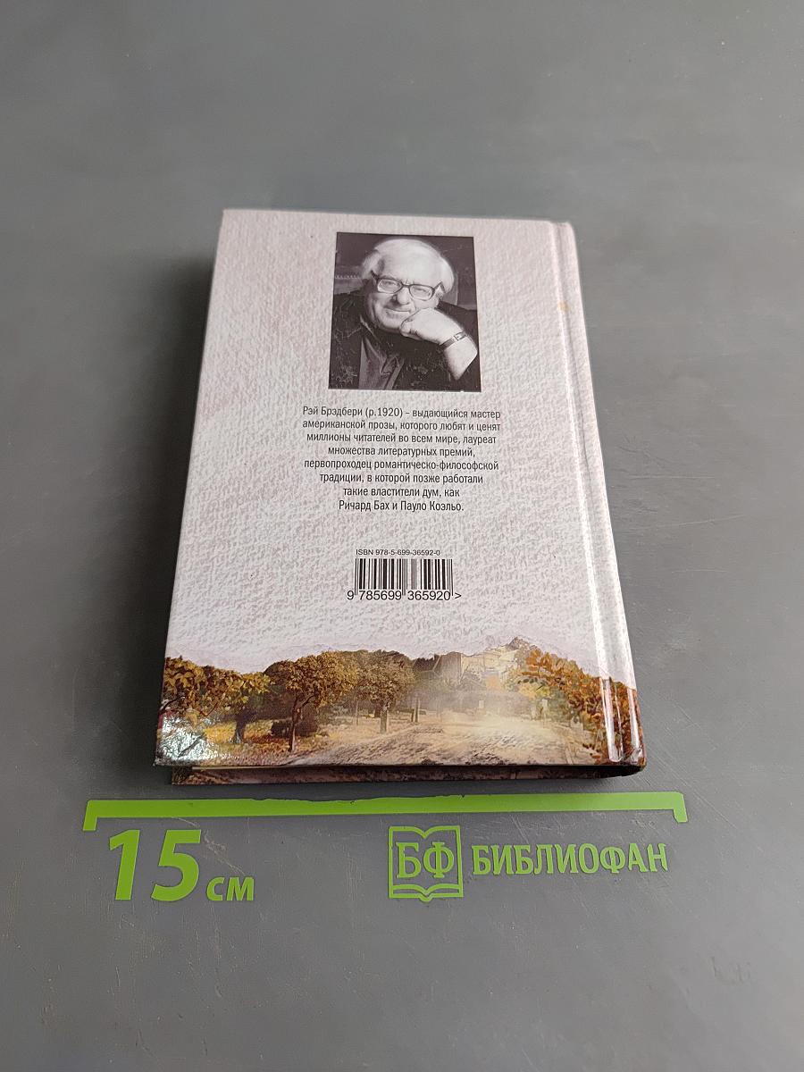 Лето, прощай
