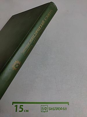 Энциклопедический словарь юного астронома