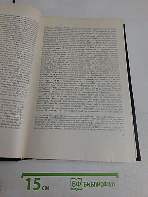 Архивъ русской революціи. Томъ XI