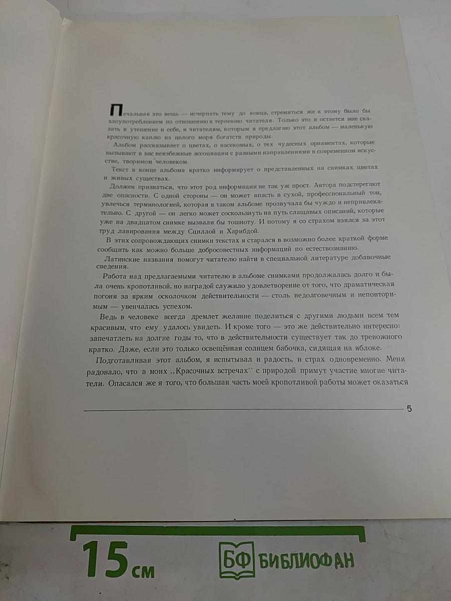 Красочные встречи