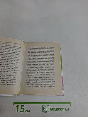 Лук и чеснок: рецепты здоровья и красоты