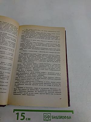 В дебрях времени