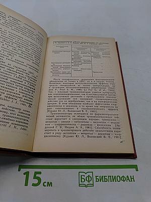 Головная боль