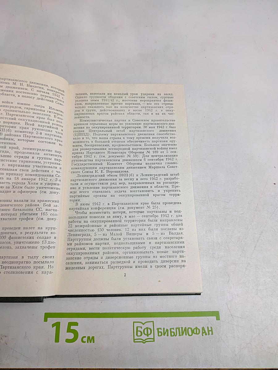 В тылу врага. 1942 г. Сборник документов