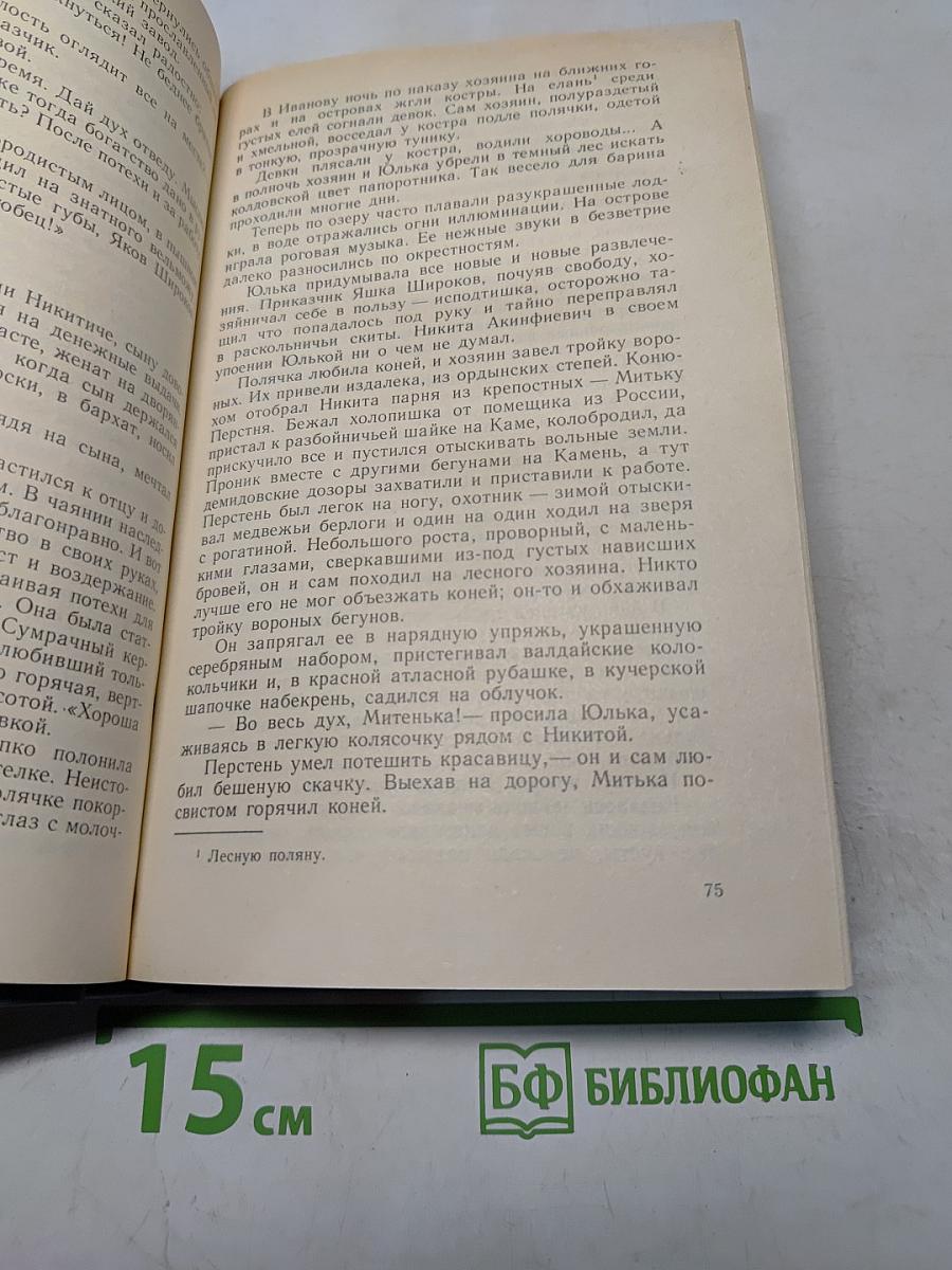 Каменный пояс. Книга вторая. Наследники