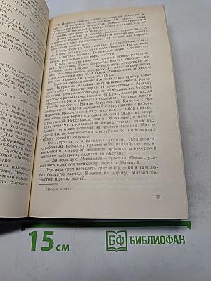 Каменный пояс. Книга вторая. Наследники