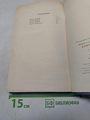 Каменный пояс. Книга вторая. Наследники
