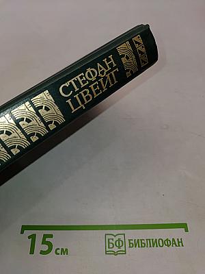 Новеллы. Эссе, очерки