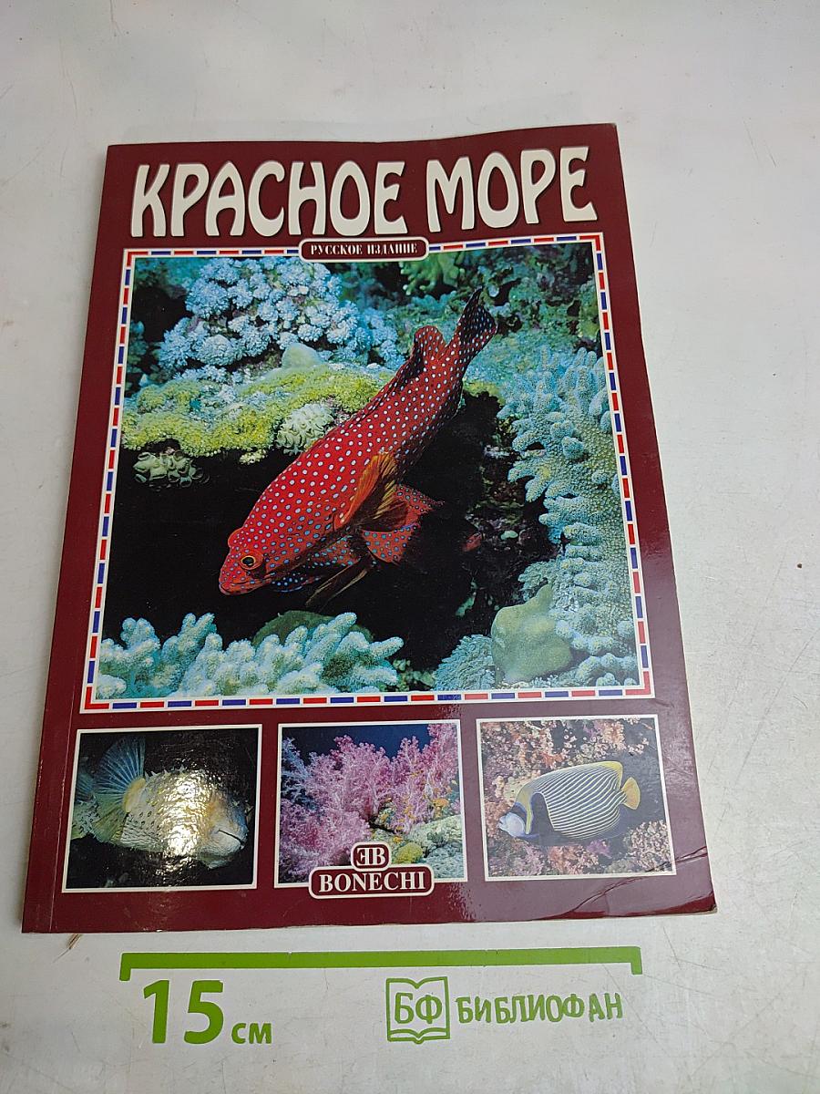 Красное море