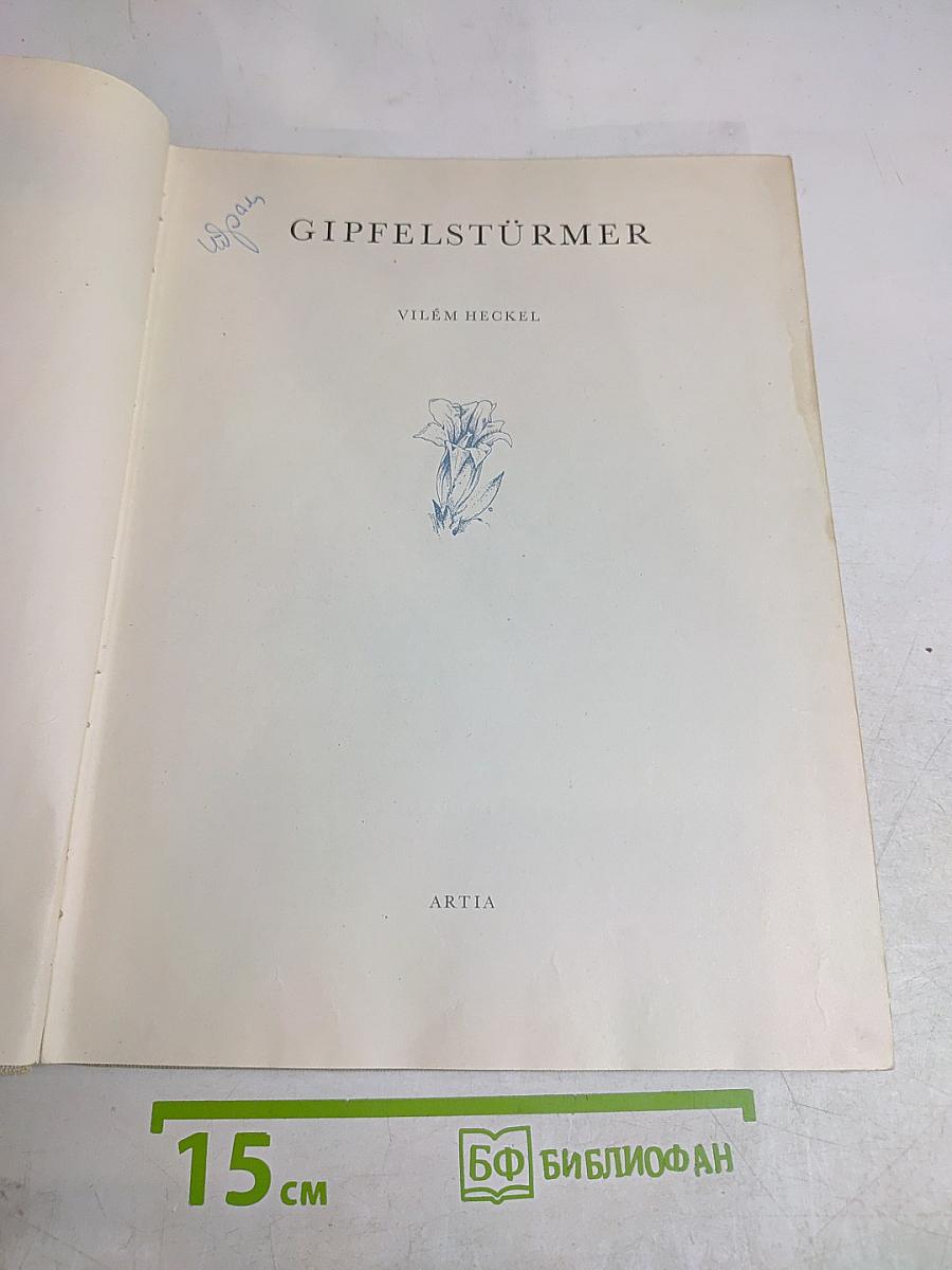 Gipfelstürmer