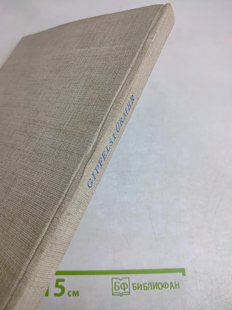 Gipfelstürmer