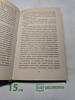 Русские львы. Миссия под огнем. Книга 2