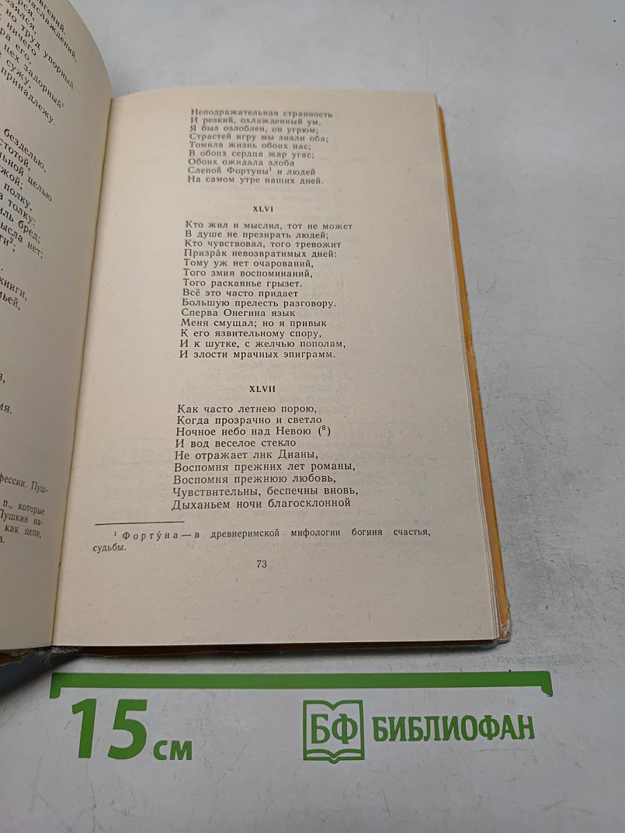 Евгений Онегин