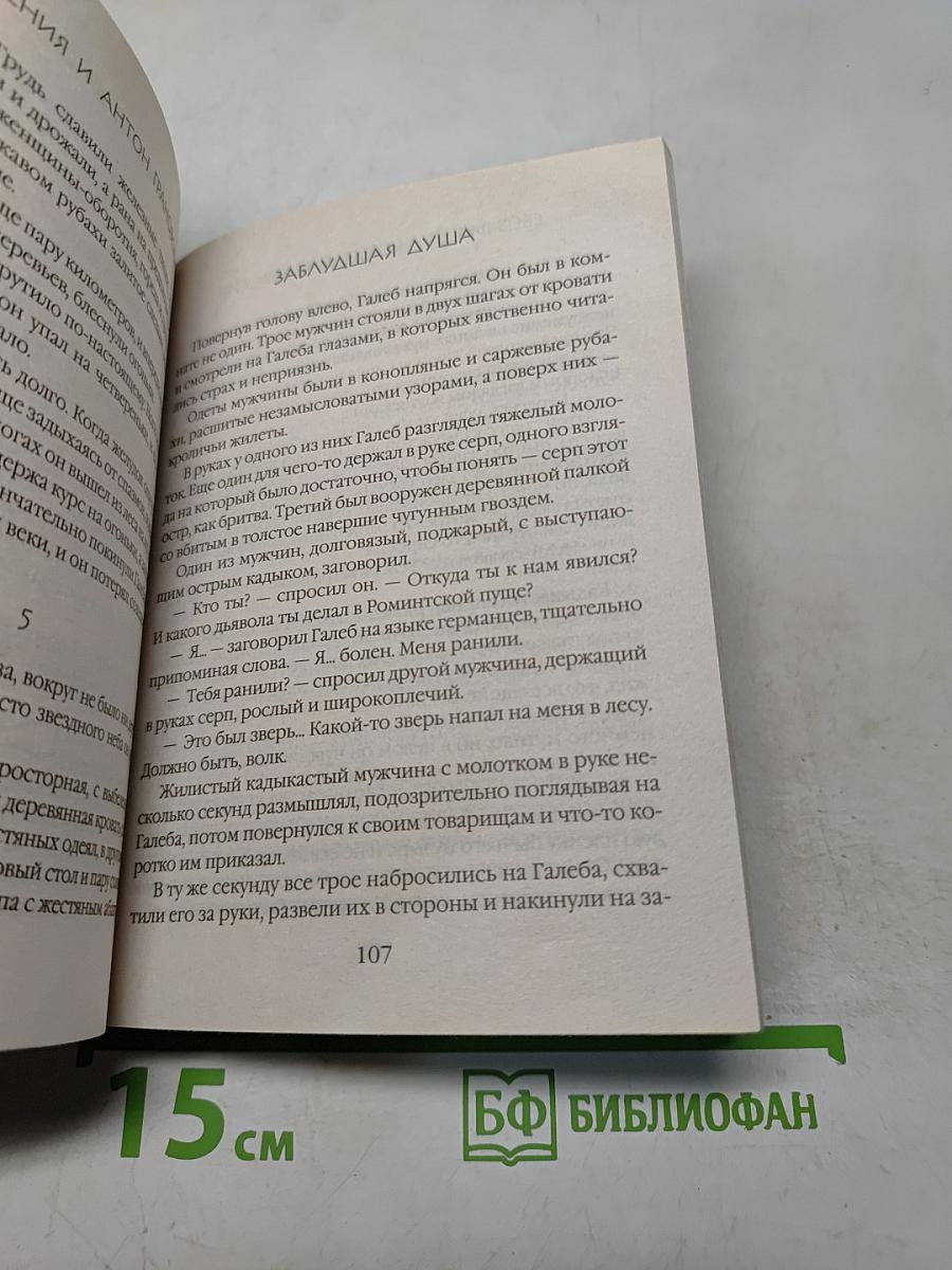 Заблудшая душа