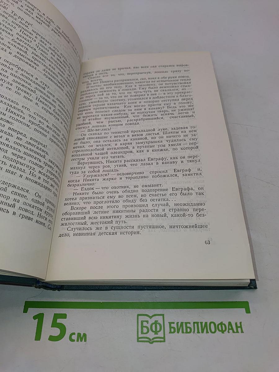 Сочинения. Том второй. Братья. Роман