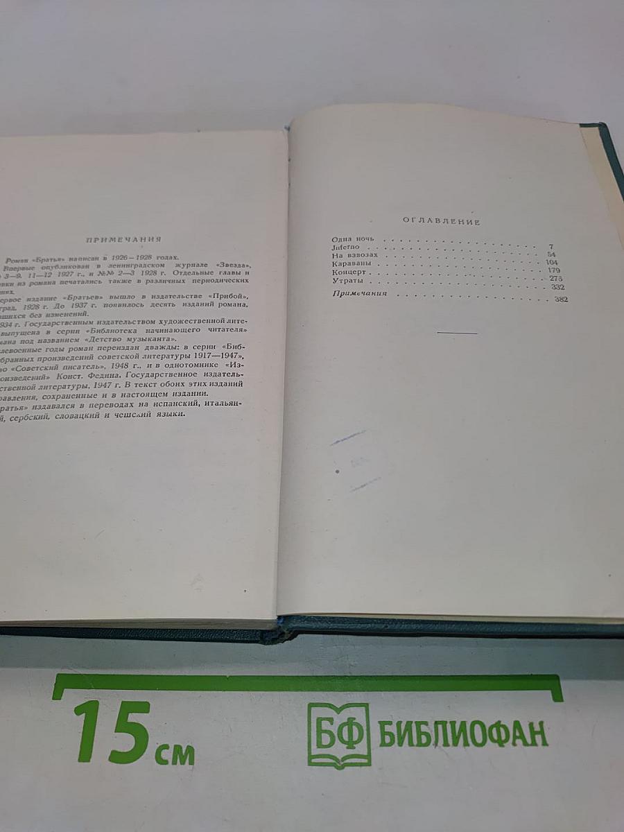 Сочинения. Том второй. Братья. Роман