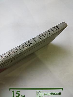 Ленинград в блокаде (1941 год)