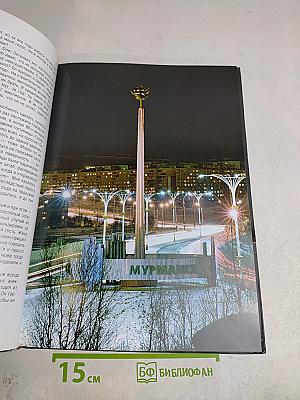 Мэр. Вспоминая Найденнова...
