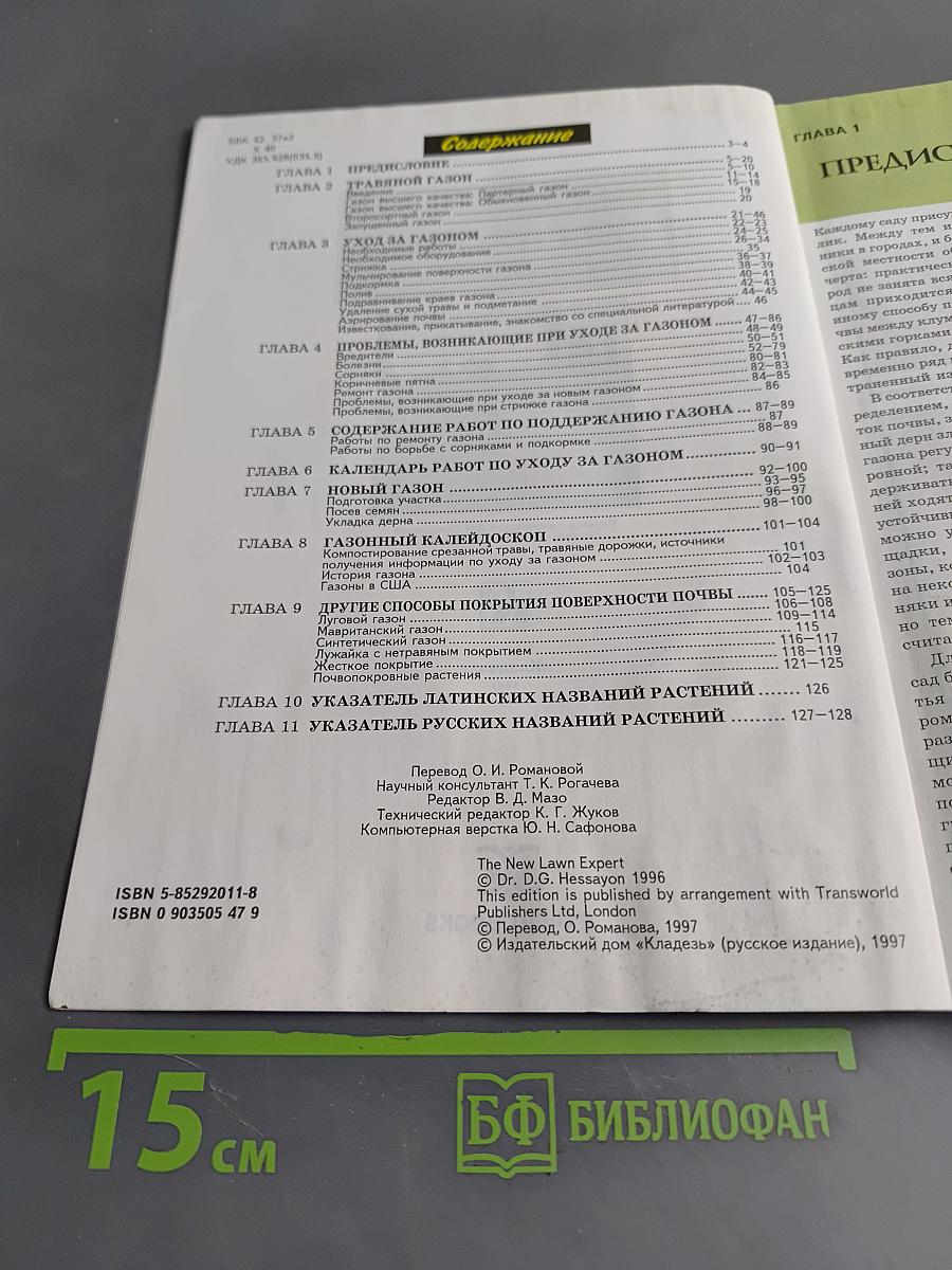 Все о газоне