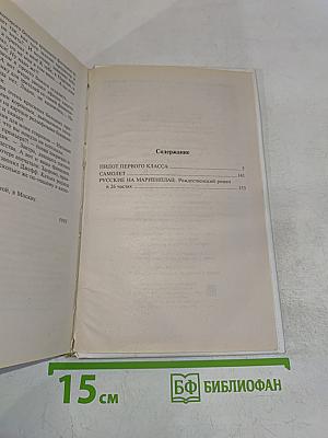 Русские на Мариенплац