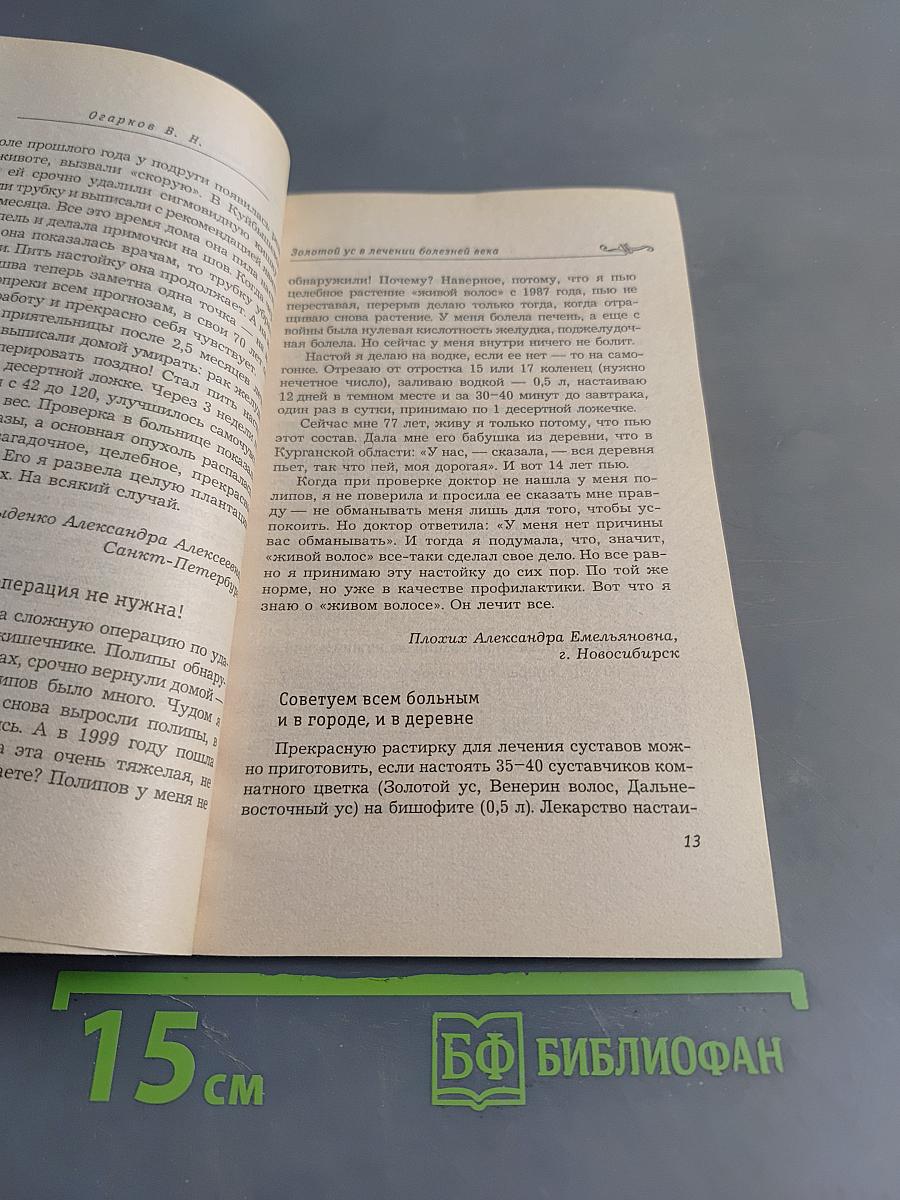 Золотой ус в лечении болезней века