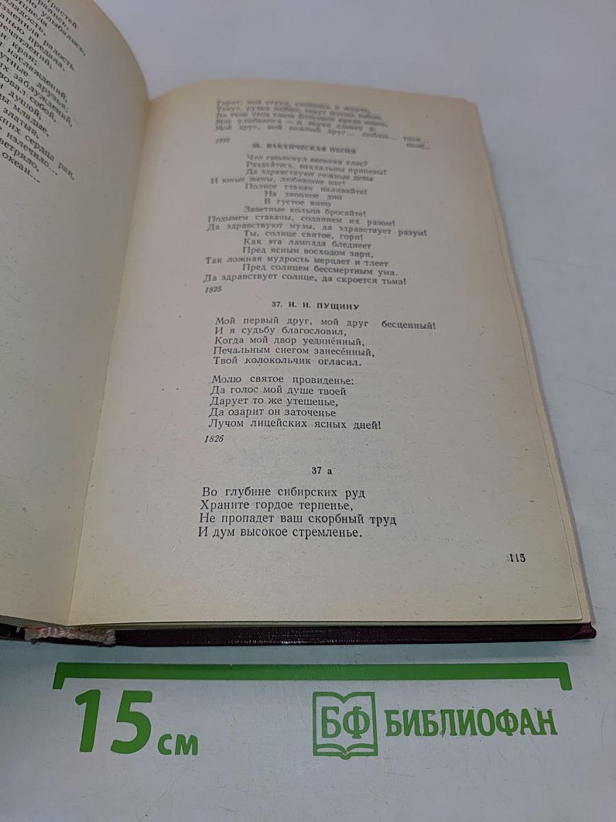 Мысль, вооруженная рифмами. Поэтическая антология по истории русского стиха