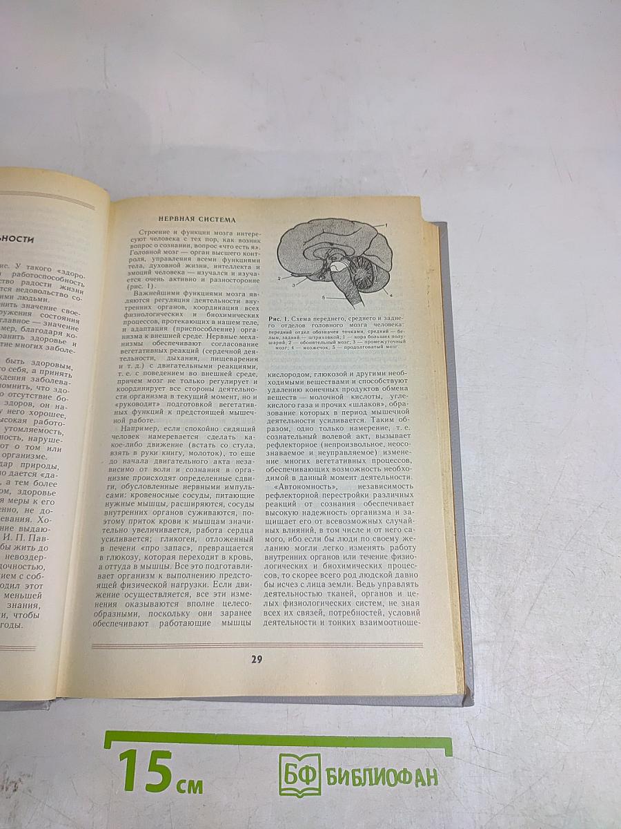 Книга о здоровье