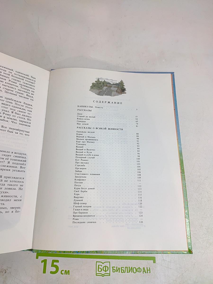 Старый да малый. Каникулы