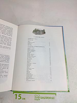 Старый да малый. Каникулы