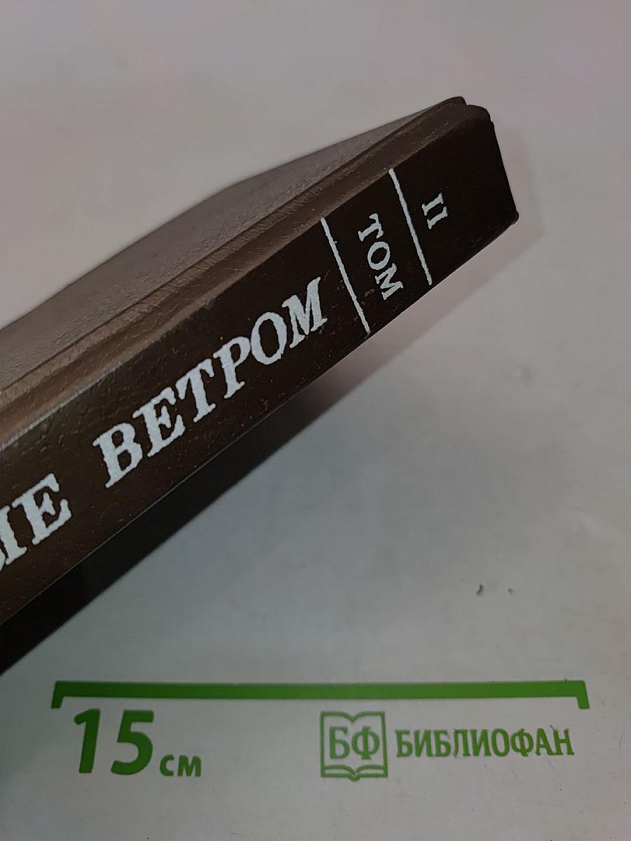Унесённые ветром. Том II