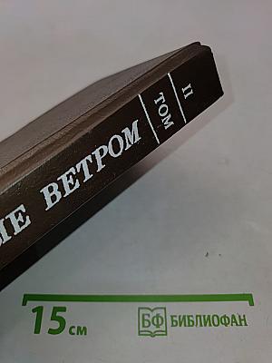 Унесённые ветром. Том II
