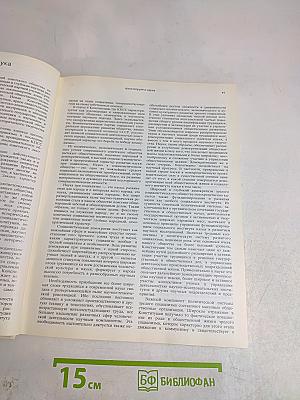 Человечество
