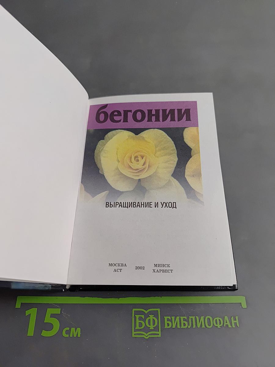 Бегонии. Выращивание и уход