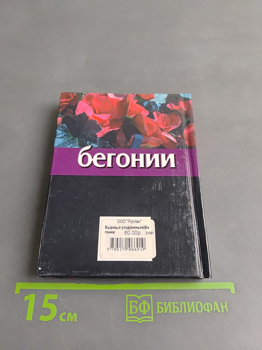 Бегонии. Выращивание и уход