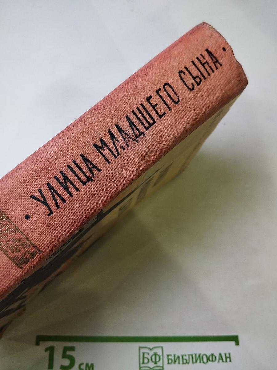 Улица младшего сына