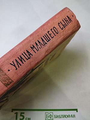 Улица младшего сына