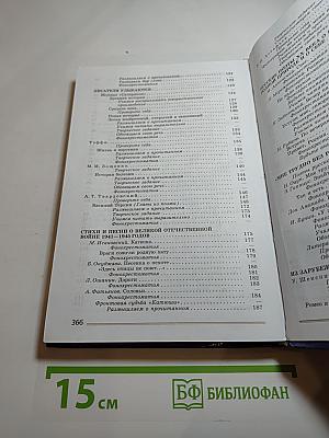 Литература. 8 класс. Часть 2