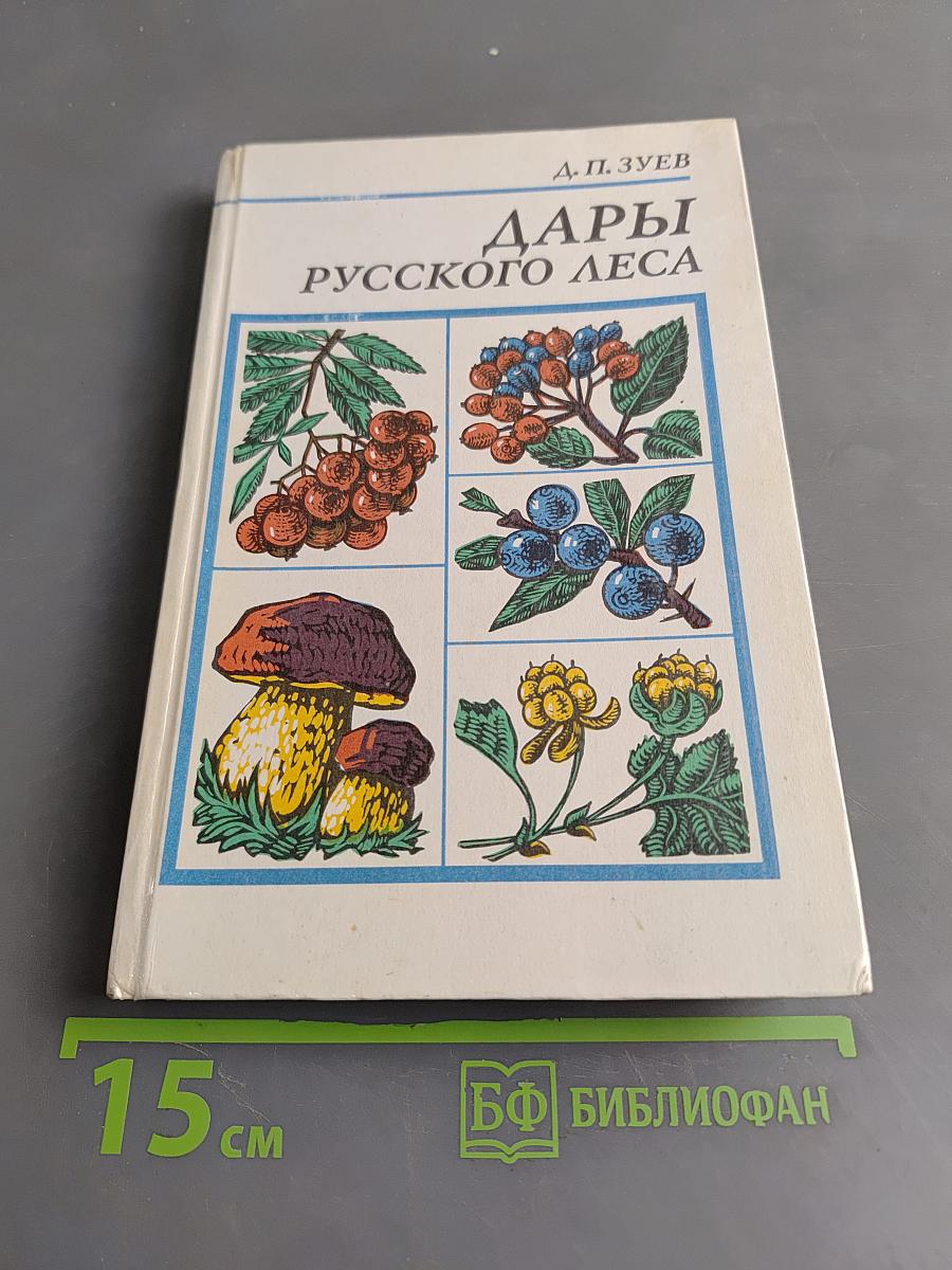 Дары русского леса