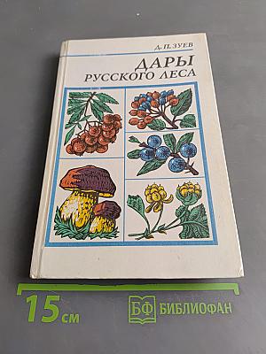 Дары русского леса