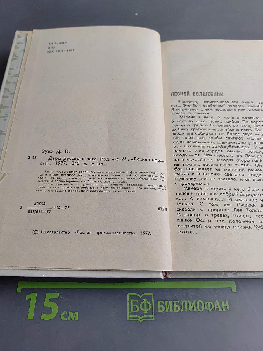 Дары русского леса