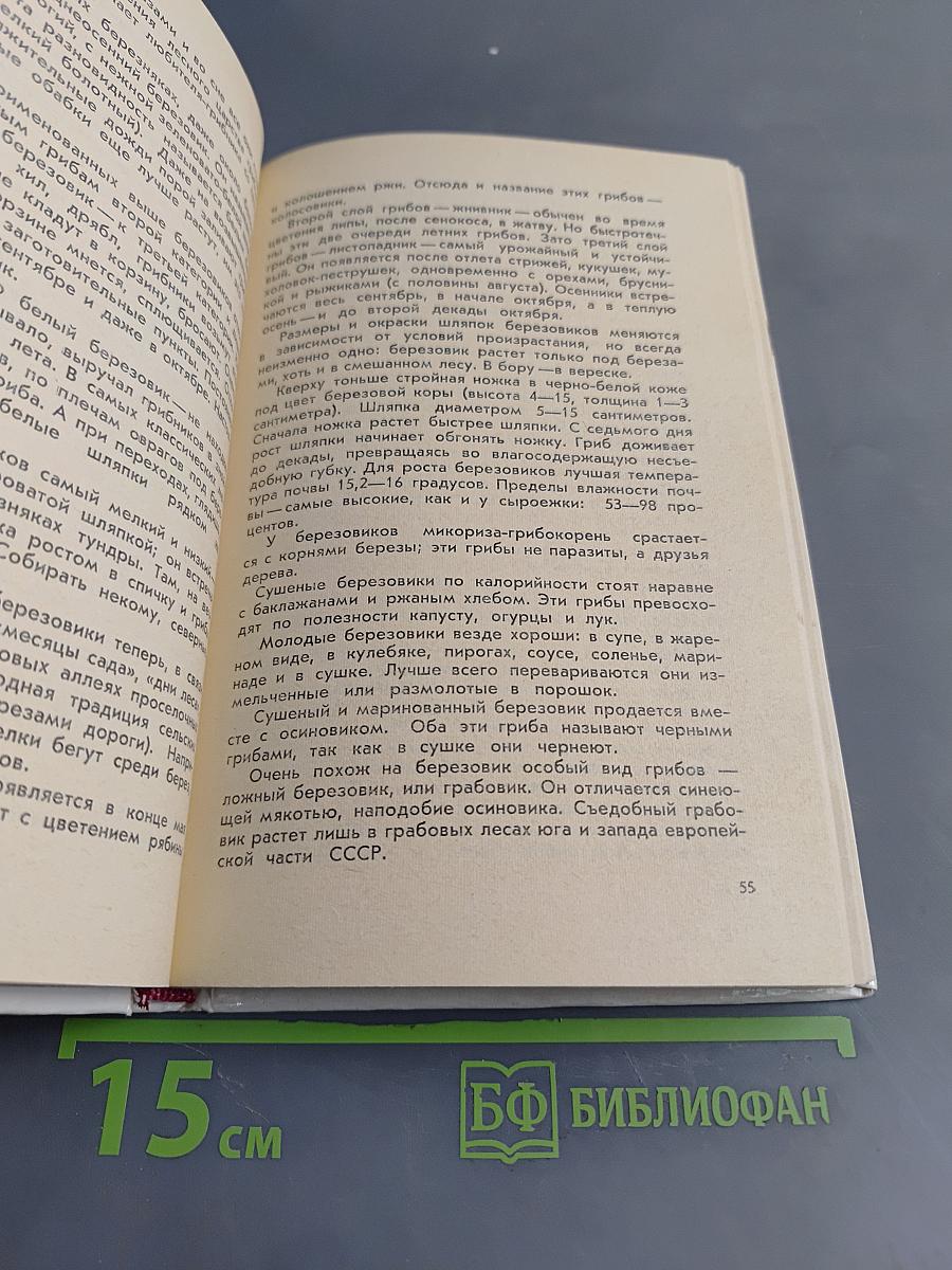 Дары русского леса